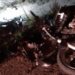 Colisão entre moto e caminhão mata jovem de 19 anos em Serra Talhada