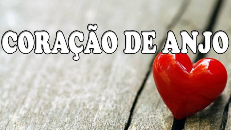 Palavra do Dia: O coração de um anjo