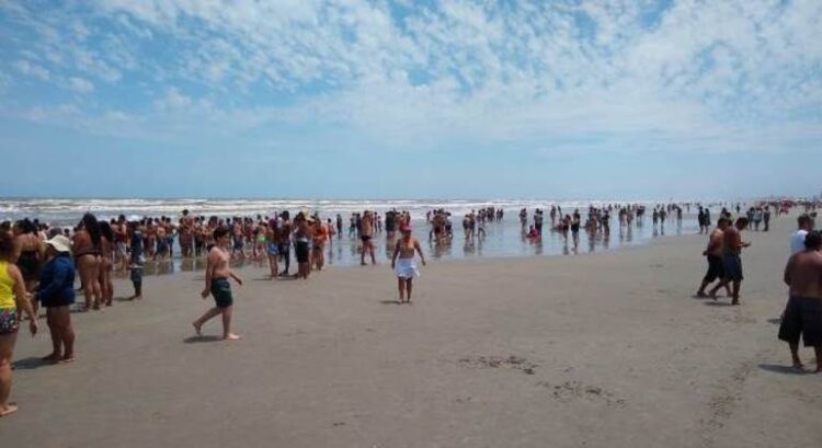 Tubarão fere criança e causa pânico na praia de Ilha Comprida (SP)