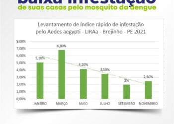 Brejinho continua a apresentar baixa infestação de suas casas pelo mosquito da dengue