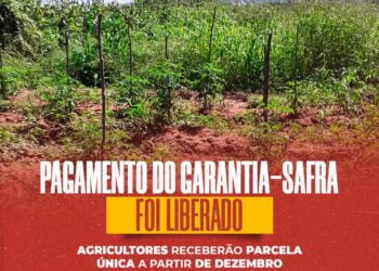 Atenção agricultores de Carnaíba e região, o garantia safra foi liberado