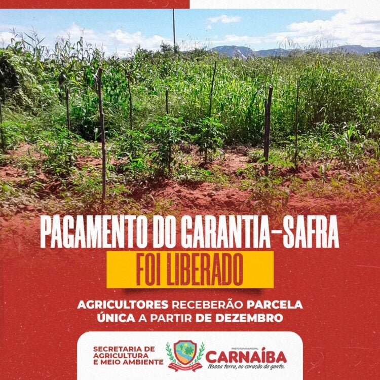 Atenção agricultores de Carnaíba e região, o garantia safra foi liberado