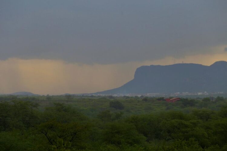 Sertão festeja volta das chuvas. Confira imagens de Afogados, SJE, Tabira, Itapetim e Serra Talhada