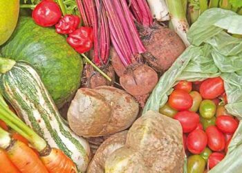 Prefeitura de SJE comprou R$ 270 mil da agricultura familiar e distribuiu mais de 400 mil refeições pela Cozinha Comunitária em 2021