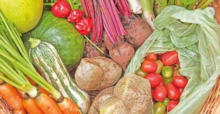 Prefeitura de SJE comprou R$ 270 mil da agricultura familiar e distribuiu mais de 400 mil refeições pela Cozinha Comunitária em 2021