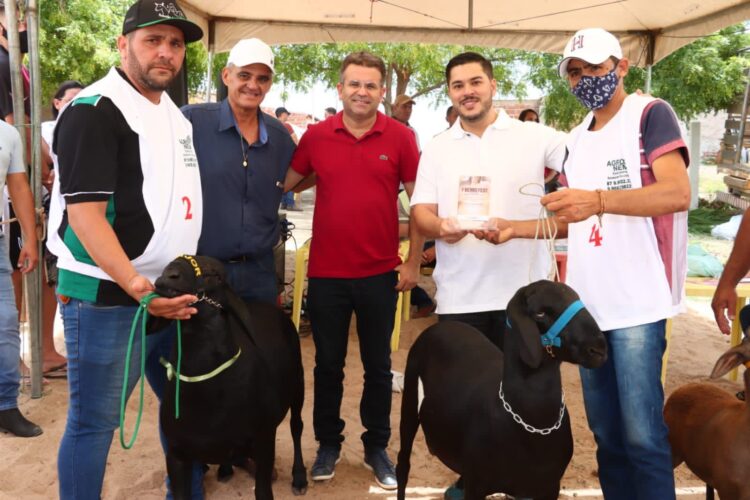 Feira movimentou caprinovinocultura de Afogados e região