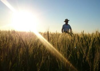Agricultores de Pernambuco poderão tirar CNH gratuita