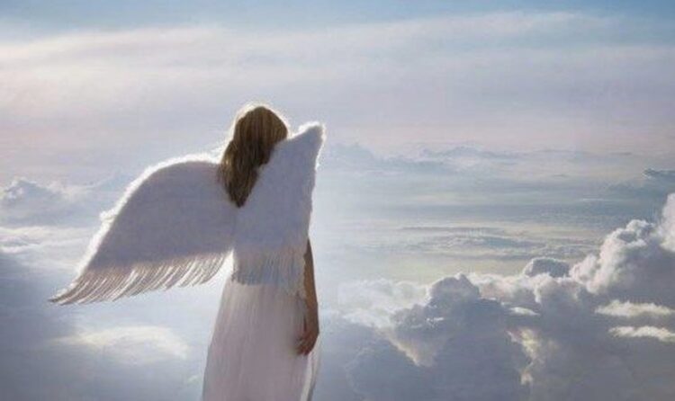 Palavra do Dia: Era uma vez uma eclosão de anjos