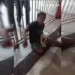 Vídeo: ferido, homem picado leva cobra para porta de hospital