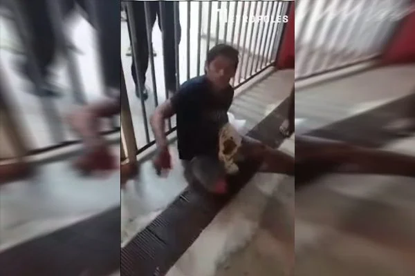 Vídeo: ferido, homem picado leva cobra para porta de hospital