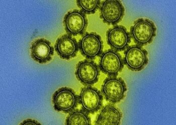 O que se sabe sobre o vírus influenza H3N2 que circula no Brasil