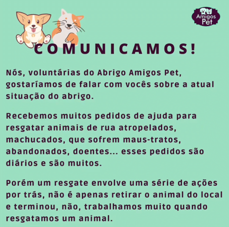 Saiba como ajudar o Abrigo Amigos Pet