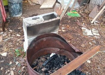 Polícia investiga suspeito de matar cachorro e fazer churrasco da carne
