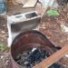 Polícia investiga suspeito de matar cachorro e fazer churrasco da carne