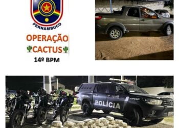 Após perseguição, traficante é preso em Serra Talhada com mais de 50Kg de maconha