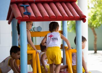 Fundação Terra lança campanha para receber doações por meio do Imposto de Renda
