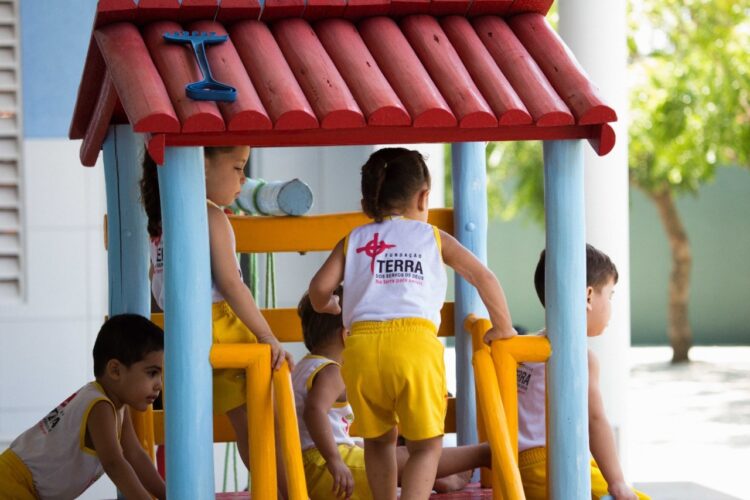 Fundação Terra lança campanha para receber doações por meio do Imposto de Renda