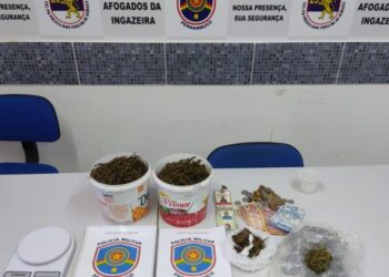 Grande quantidade de maconha é apreendida pela Polícia em Afogados da Ingazeira