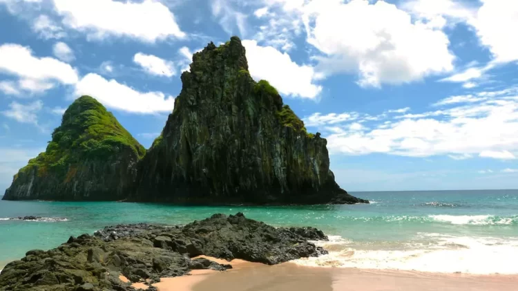 Turista é mordido por tubarão em praia de Fernando de Noronha