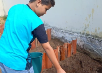 Prefeitura de Carnaíba está realizando no SCFV do povoado da Itã, uma horta orgânica