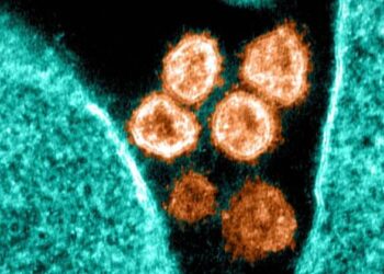 Cientistas descobrem método que impede totalmente a infecção pelo coronavírus