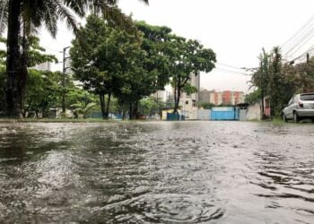 Defesa Civil de Pernambuco confirma 30 mortes no Estado por causa das fortes chuvas