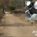 Motociclista morre após colidir contra um cavalo em Tabira