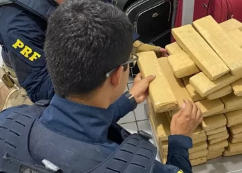 Passageiro de ônibus é detido com duas malas carregadas com 50 kg de maconha, em Serra Talhada