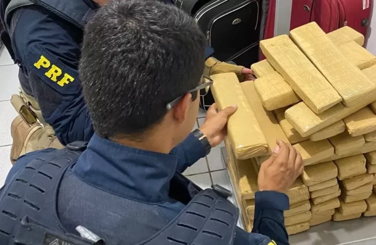 Passageiro de ônibus é detido com duas malas carregadas com 50 kg de maconha, em Serra Talhada
