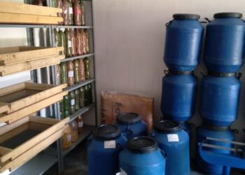 Em Brejinho, casas de sementes são visitadas para saber se ainda existe Guardiões de Sementes Crioulas e está sendo estudado um novo projeto para a preservação