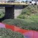 Rio com água vermelha assusta moradores em cidade no Nordeste