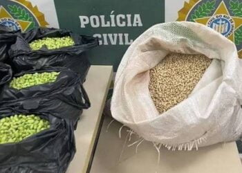 Homem é preso por pintar feijão para enganar consumidores