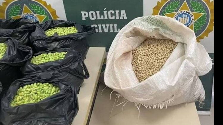 Homem é preso por pintar feijão para enganar consumidores