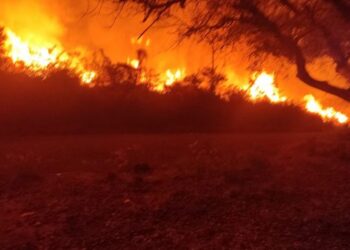 Bombeiros combatem incêndio de grandes proporções no portal de Triunfo; veja vídeo