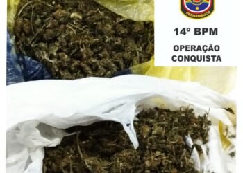 Mulher é detida circulando com uma sacola de maconha em Serra Talhada