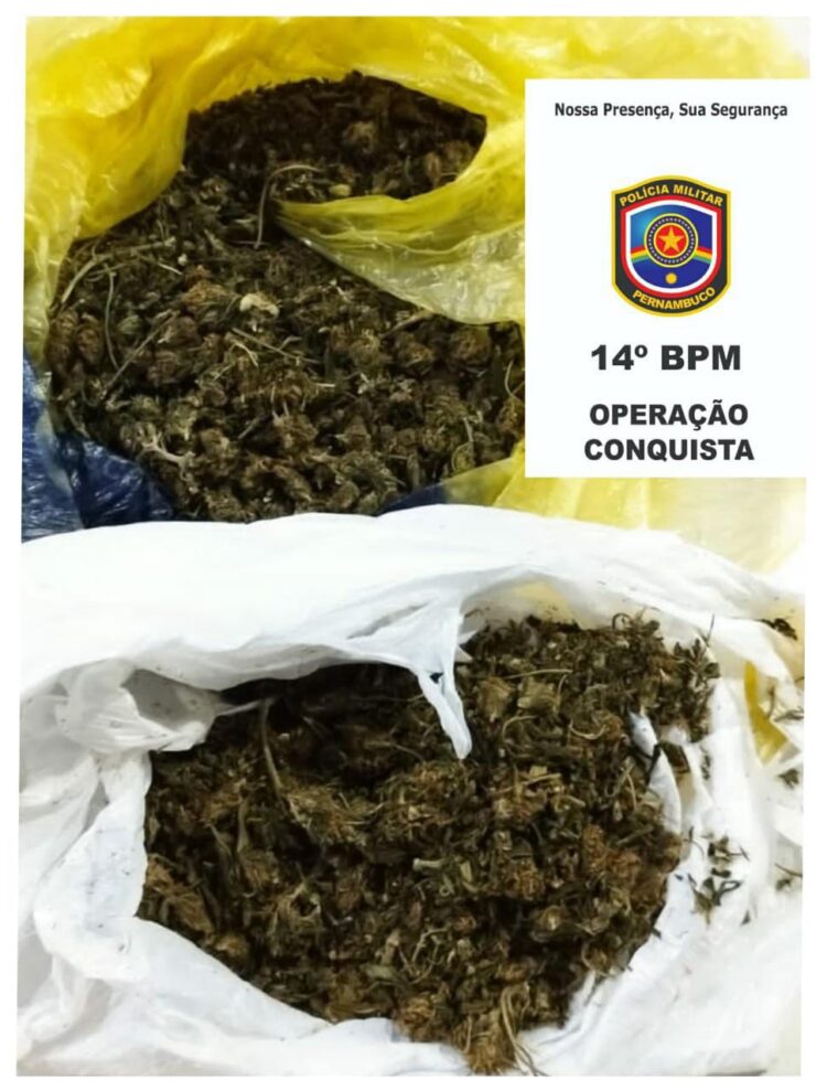 Mulher é detida circulando com uma sacola de maconha em Serra Talhada