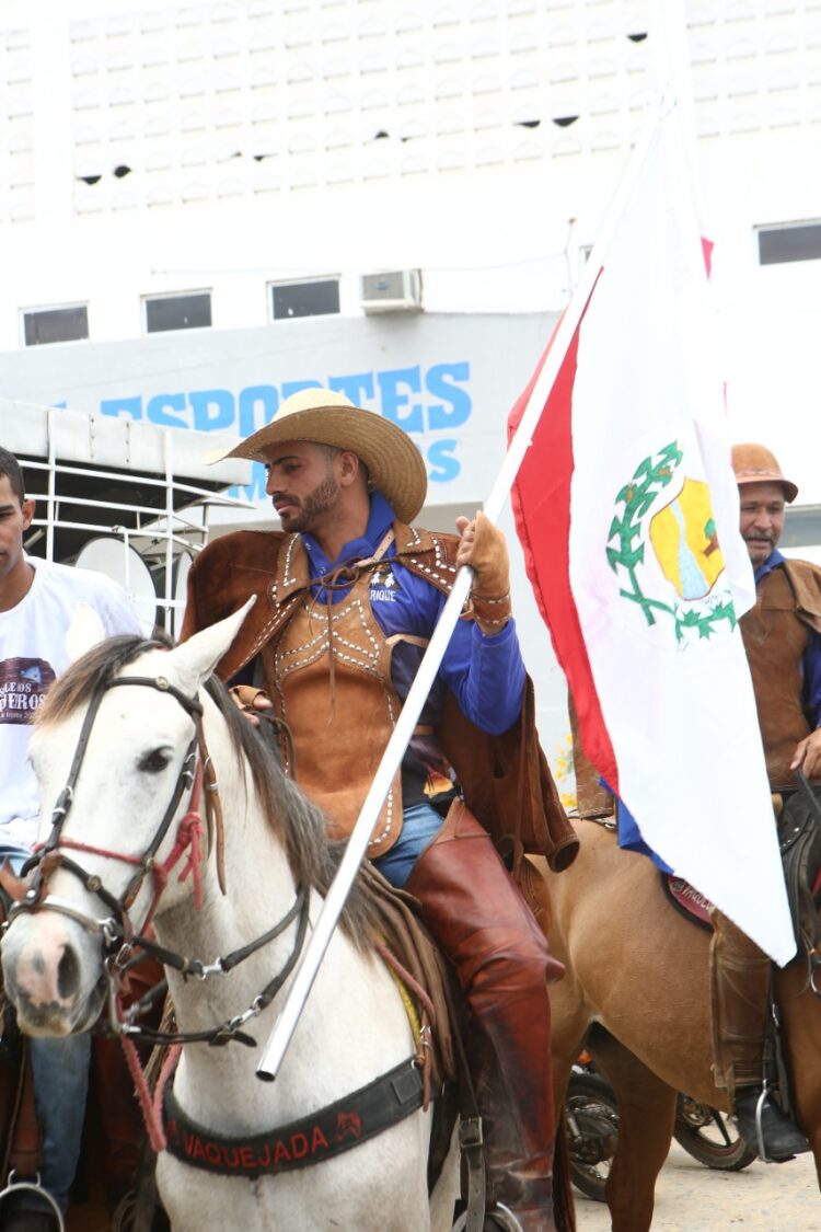 Vaqueiros desfilam tradição pelas ruas de Afogados. Confira fotos e vídeo.