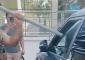 Policial quebra vidro de carro para salvar cadela e ação divide opiniões nas redes sociais; Veja