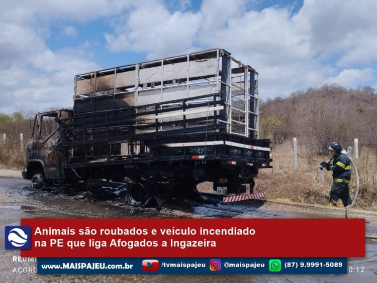 Animais são roubados e veículo incendiado na PE que liga Afogados a Ingazeira