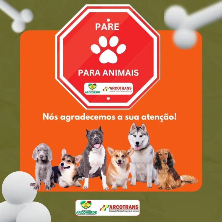Arcotrans promove campanha “Pare para Animais”