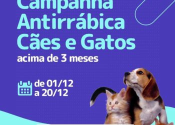 Governo de Tuparetama promove campanha de vacinação antirrábica