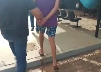 Homem é preso após suspeitas de ter estuprado uma criança, galinhas e cachorros