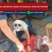 Primeira Mão: Homem que matou outro com pedrada na cabeça em Iguaracy é preso em Custódia