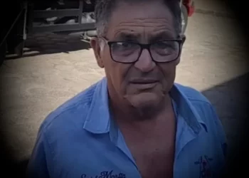 Idoso morre após ser atacado por abelhas em Pernambuco