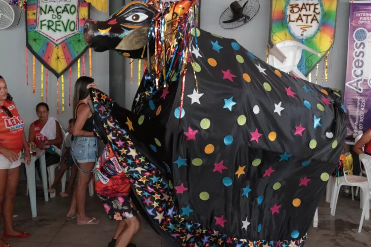 Confira imagens do bloco Leão do Norte, em Afogados