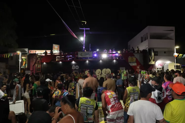 Carnaval de Afogados: confira fotos e vídeos do bloco A Cobra Vai Subir