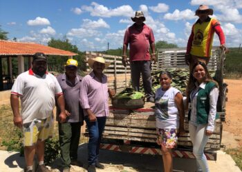 Entrega de raquetes de palma fortalece a pecuária de Tuparetama