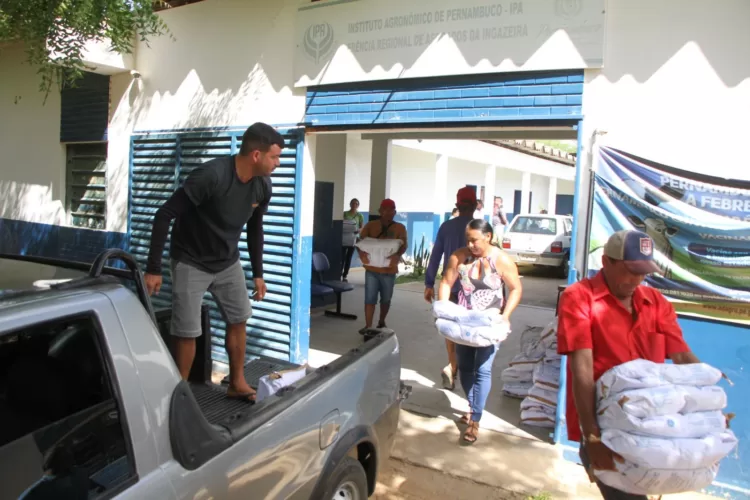 Agricultores de Afogados recebem sementes de milho, sorgo e feijão