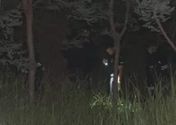 Ossada encontrada próximo ao Palácio do Planalto, em Brasília, é de homem de 54 anos, diz polícia