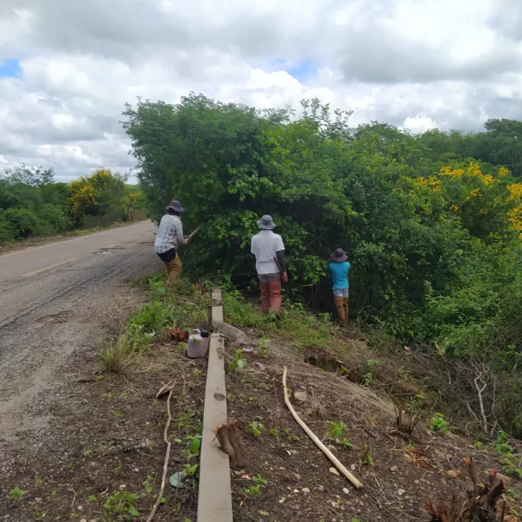 Prefeitura de São José do Egito roça mato da PE-285